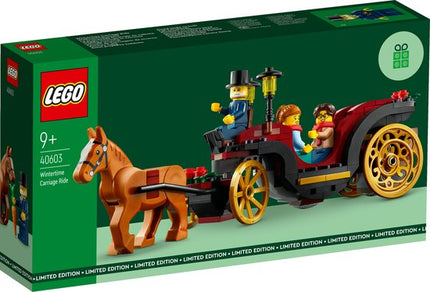 LEGO Iconic Winterse Koetstocht - 40603