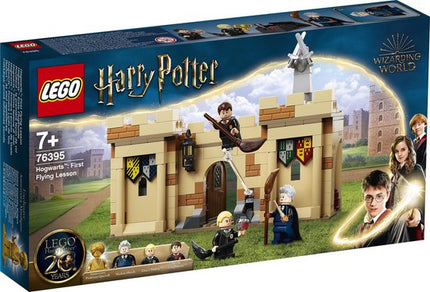 LEGO Harry Potter Zweinstein Eerste Vliegles - 76395