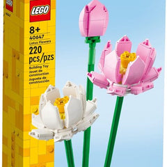 Collection image for: LEGO Iconic